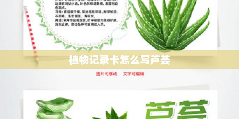 植物记录卡怎么写芦荟