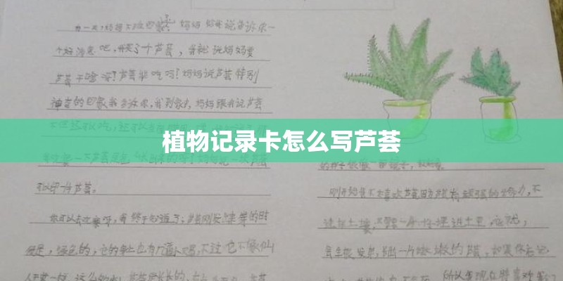 植物记录卡怎么写芦荟 植物记录卡怎么写芦荟
