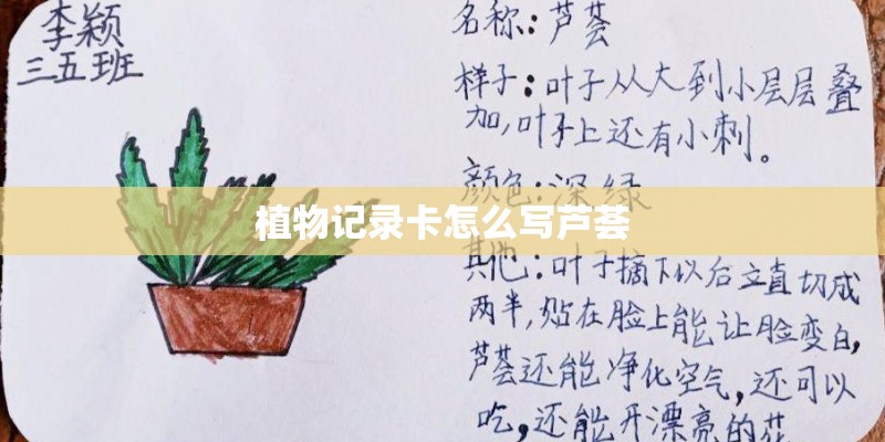植物记录卡怎么写芦荟 植物记录卡怎么写芦荟