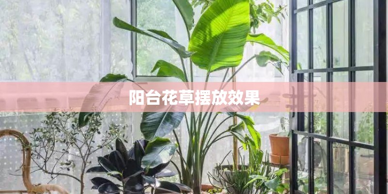 阳台花草摆放效果
