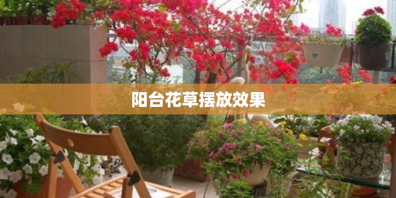 阳台花草摆放效果