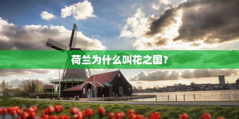 荷兰为什么叫花之国？