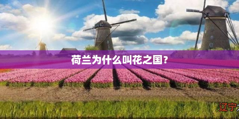 荷兰为什么叫花之国? 荷兰为什么叫花之国?