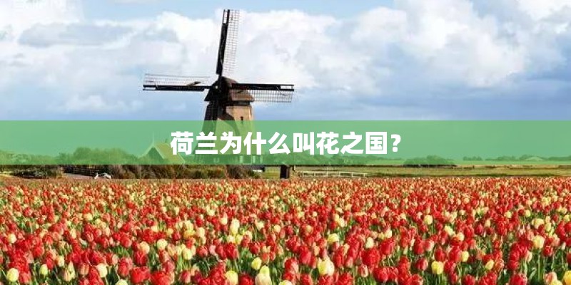 荷兰为什么叫花之国? 荷兰为什么叫花之国?