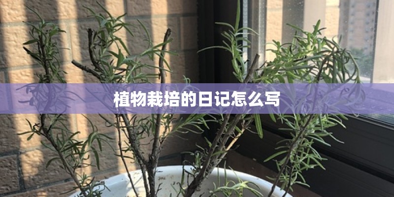 植物栽培的日记怎么写 植物栽培的日记怎么写