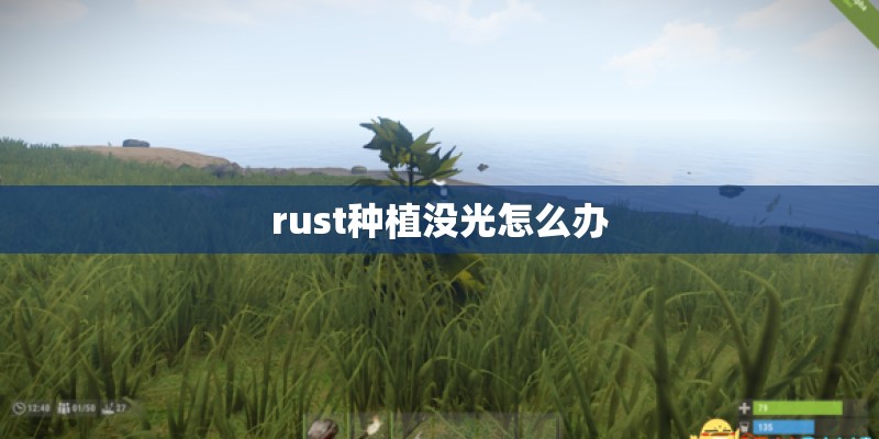 rust种植没光怎么办