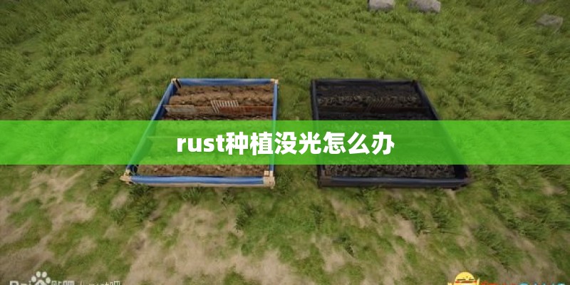 rust种植没光怎么办