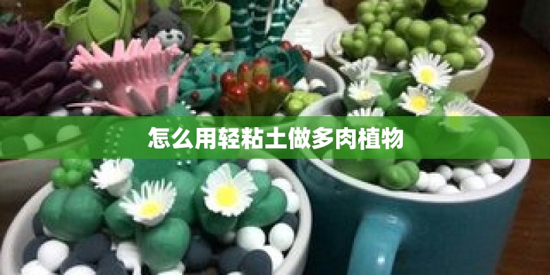 怎么用轻粘土做多肉植物