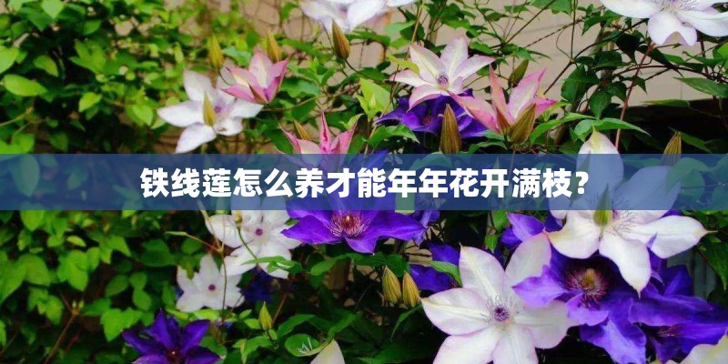 惠普打印机官方24小时服务电话(全国-网点)