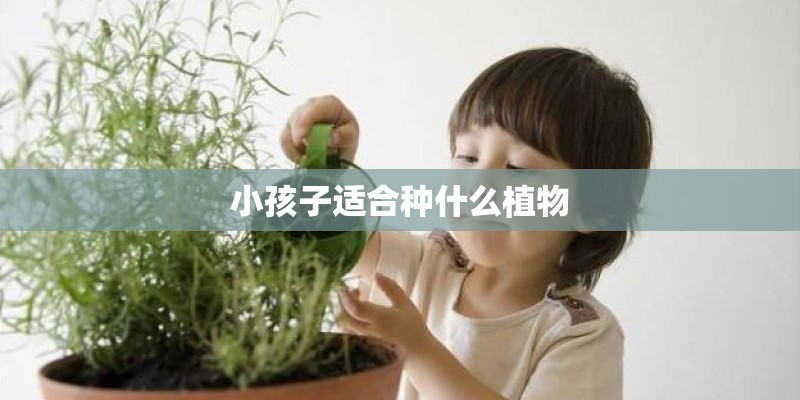 小孩子适合种什么植物 小孩子适合种什么植物