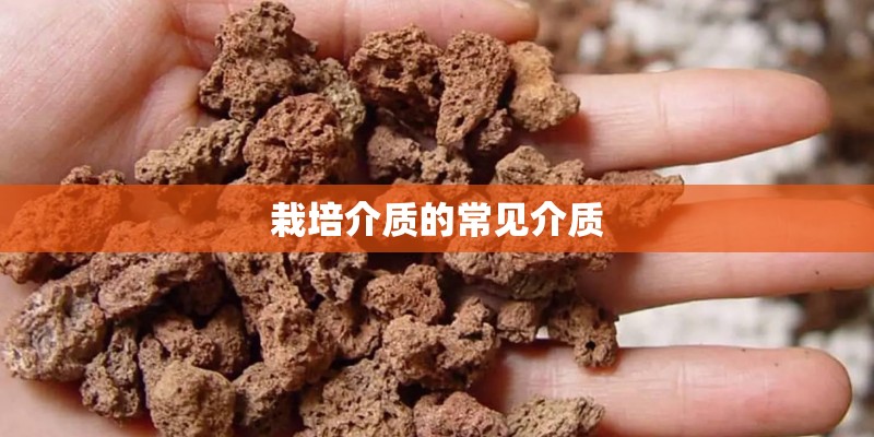 栽培介质的常见介质 栽培介质的常见介质