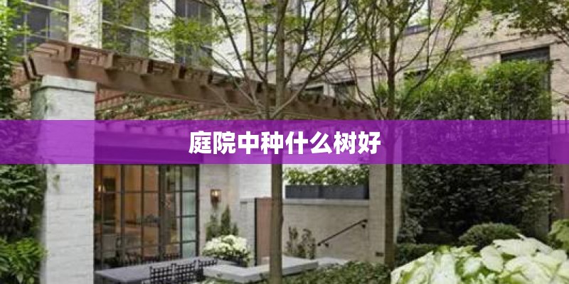 庭院中种什么树好 庭院中种什么树好