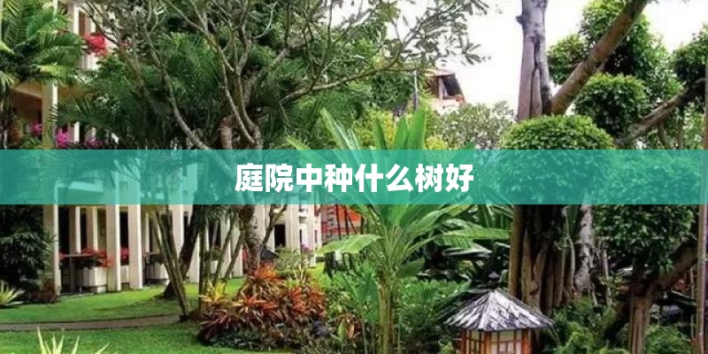 庭院中种什么树好 庭院中种什么树好