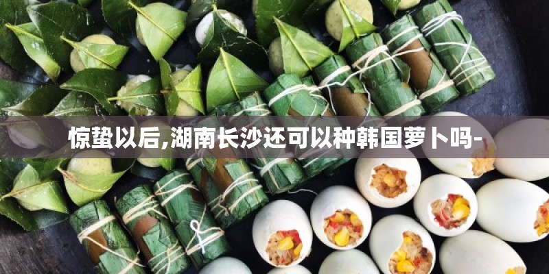 惊蛰以后,湖南长沙还可以种韩国萝卜吗-