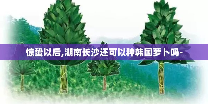 惊蛰以后,湖南长沙还可以种韩国萝卜吗- 惊蛰以后,湖南长沙还可以种韩国萝卜吗-