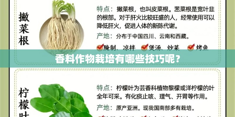 香料作物栽培有哪些技巧呢？