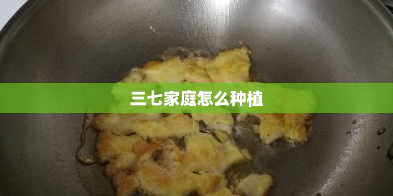 三七家庭怎么种植