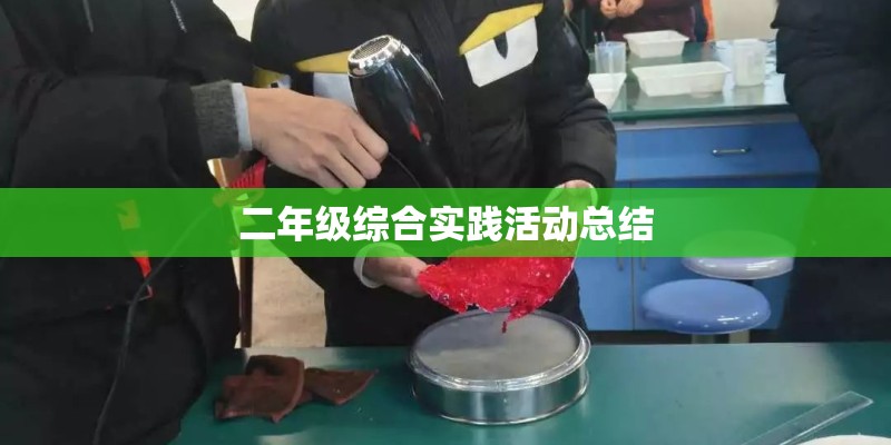 二年级综合实践活动总结
