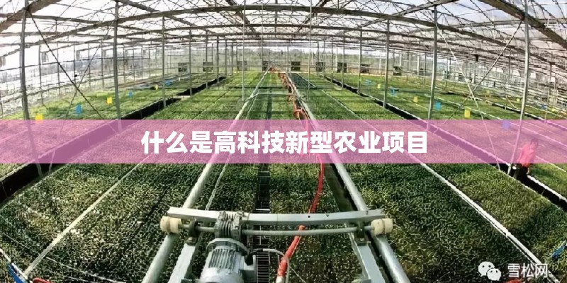 什么是高科技新型农业项目