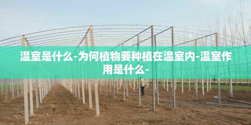温室是什么-为何植物要种植在温室内-温室作用是什么-
