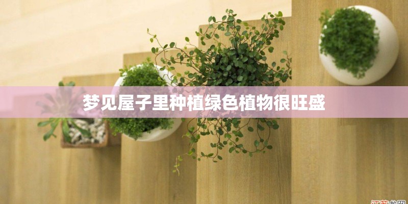 梦见屋子里种植绿色植物很旺盛