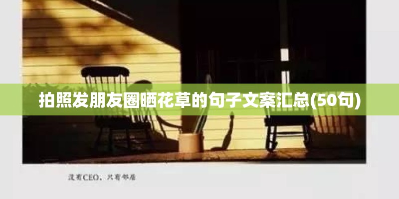 拍照发朋友圈晒花草的句子文案汇总(50句)