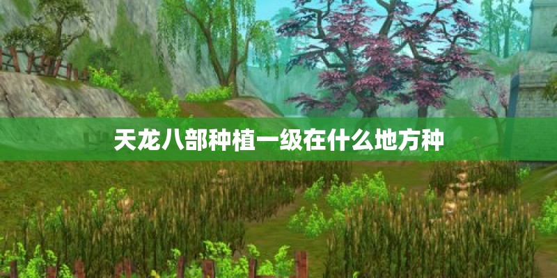 天龙八部种植一级在什么地方种 天龙八部种植一级在什么地方种
