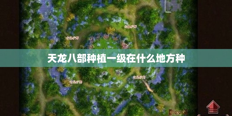 天龙八部种植一级在什么地方种