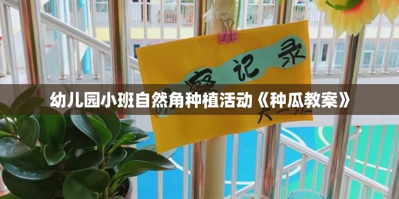 幼儿园小班自然角种植活动《种瓜教案》
