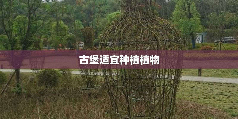古堡适宜种植植物