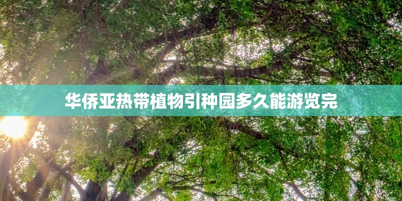 华侨亚热带植物引种园多久能游览完