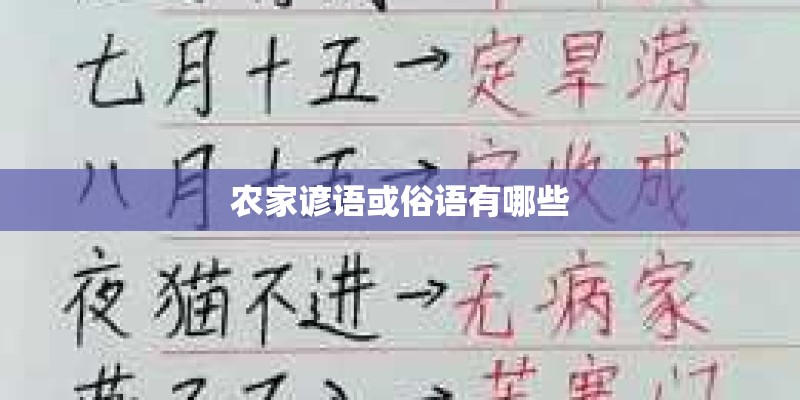 农家谚语或俗语有哪些