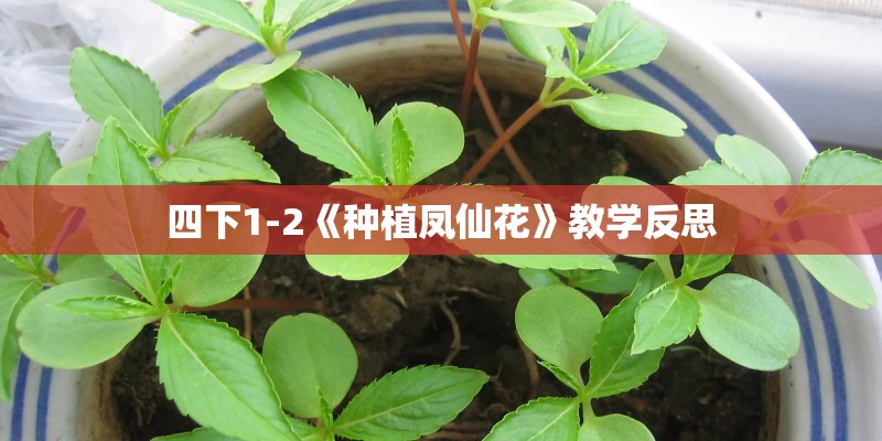 四下1-2《种植凤仙花》教学反思