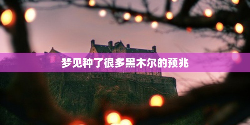 梦见种了很多黑木尔的预兆