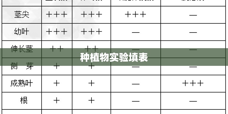 种植物实验填表