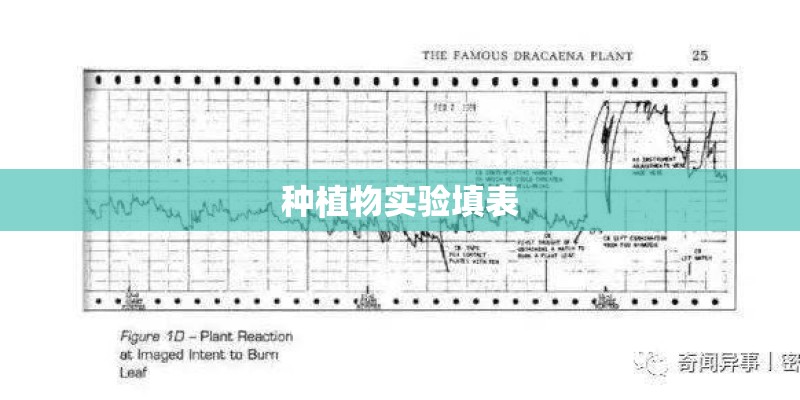 种植物实验填表
