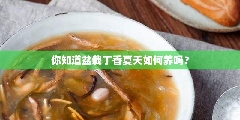 你知道盆栽丁香夏天如何养吗？