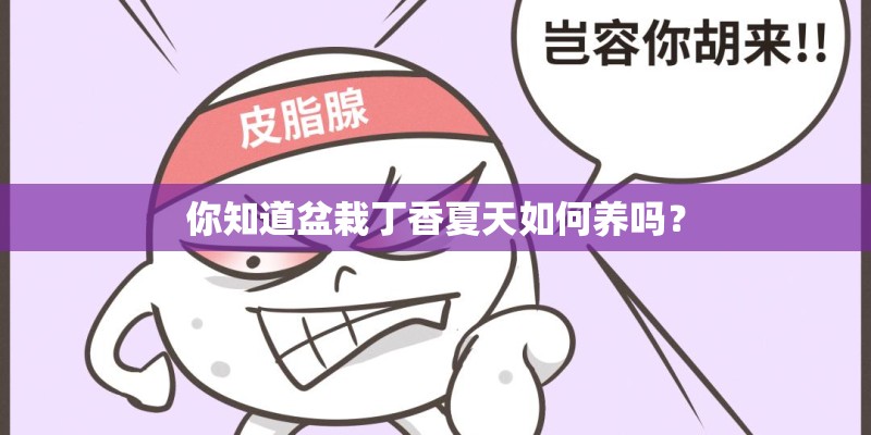 你知道盆栽丁香夏天如何养吗？