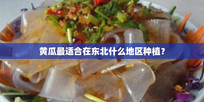 黄瓜最适合在东北什么地区种植？