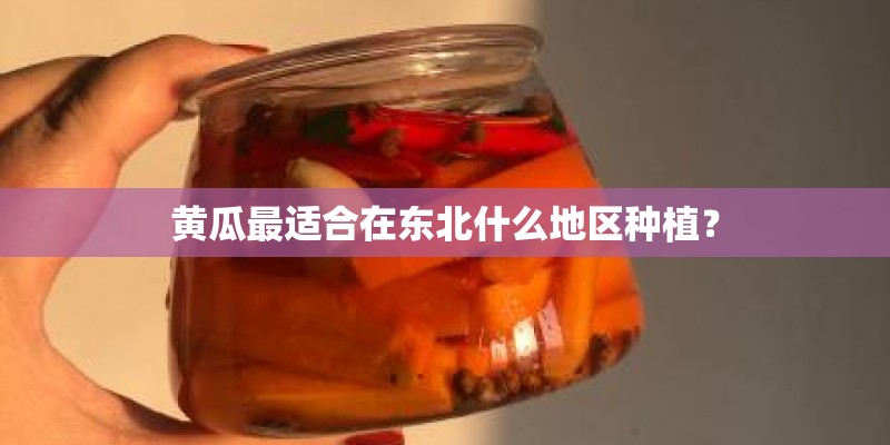 黄瓜最适合在东北什么地区种植？