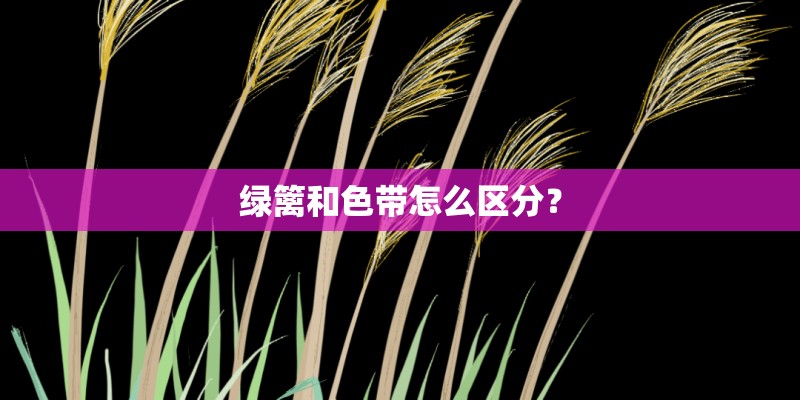 绿篱和色带怎么区分？