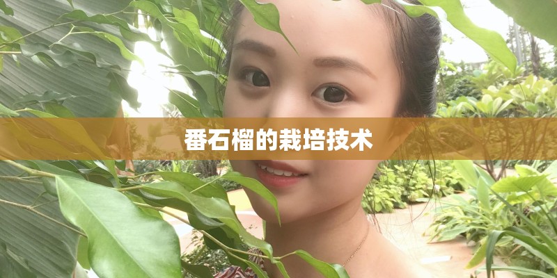 番石榴的栽培技术