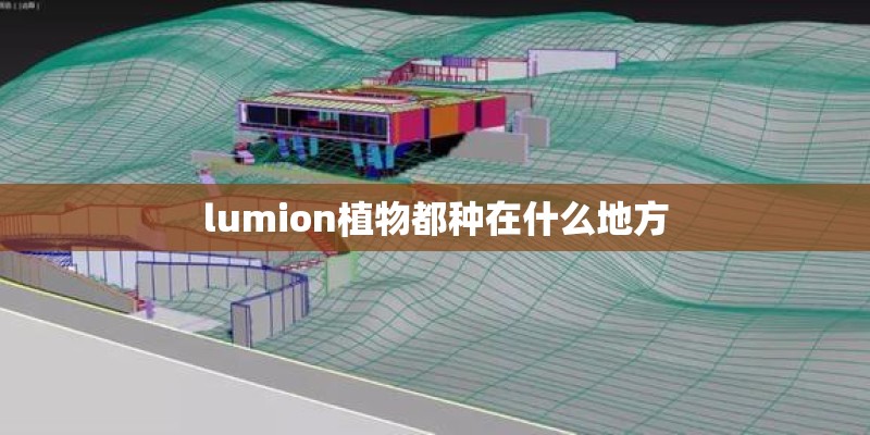 lumion植物都种在什么地方