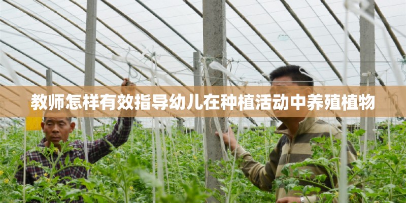 教师怎样有效指导幼儿在种植活动中养殖植物
