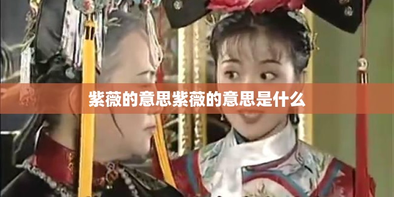 紫薇的意思紫薇的意思是什么