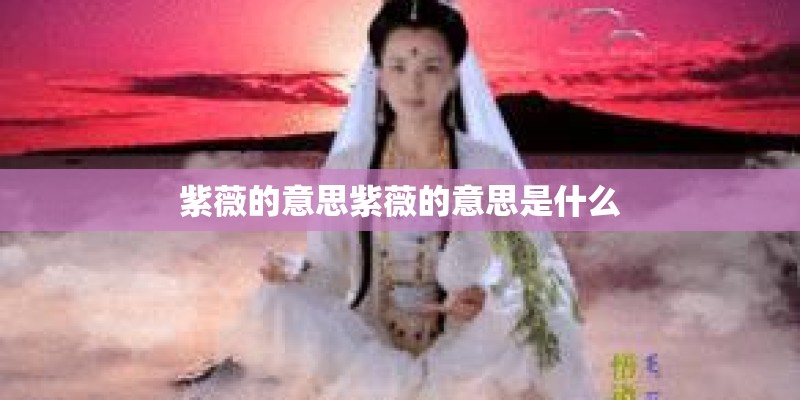 紫薇的意思紫薇的意思是什么