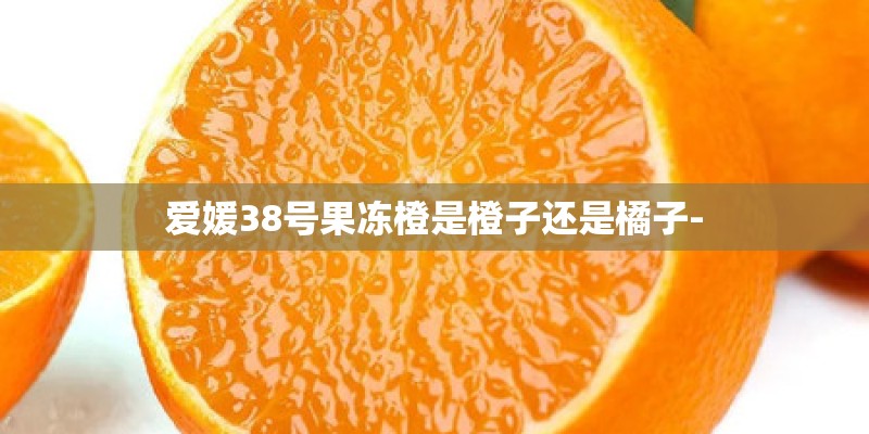 爱媛38号果冻橙是橙子还是橘子-