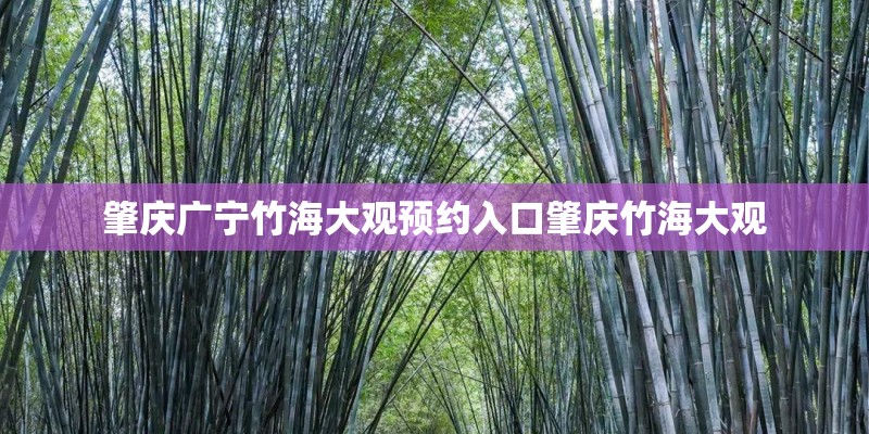 肇庆广宁竹海大观预约入口肇庆竹海大观