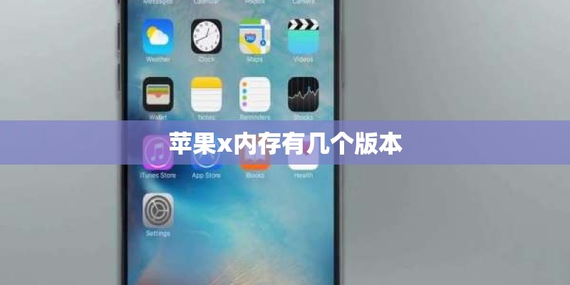 苹果x内存有几个版本