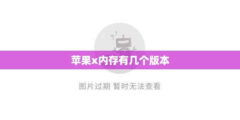 苹果x内存有几个版本
